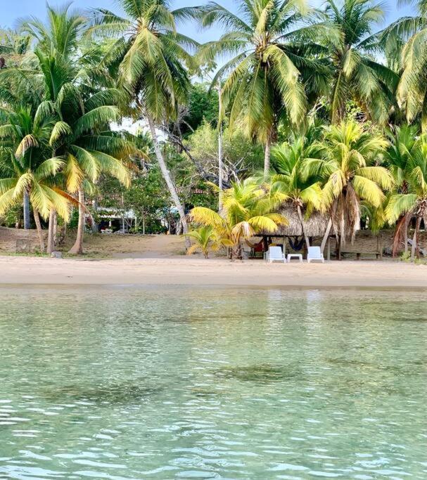 Casita Caribe En Reserva Natural, Playa Privada, Kayaks, Wifi, Aire Acondicionado Сан-Онофре Экстерьер фото