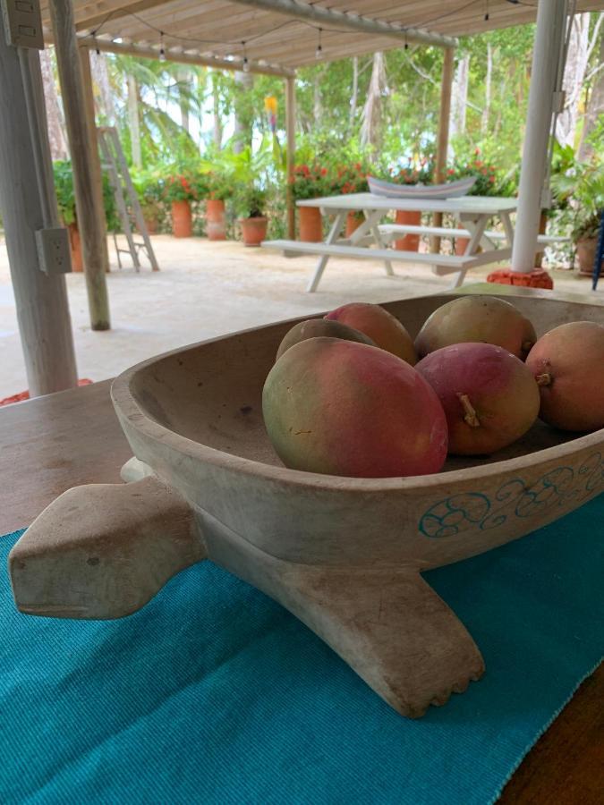Casita Caribe En Reserva Natural, Playa Privada, Kayaks, Wifi, Aire Acondicionado Сан-Онофре Экстерьер фото